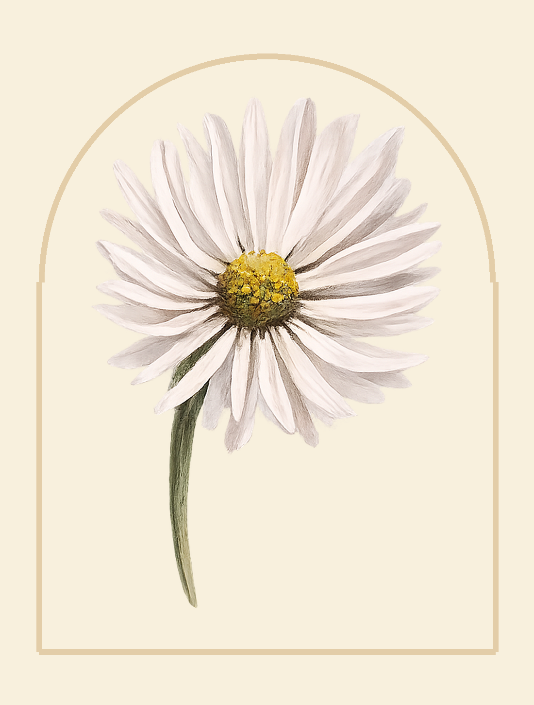Held by Daisy